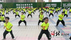 澳门星际官网 章楠摄 2018消夏汇演暨衡武功夫中华武馆交流赛开幕式在上海公馆